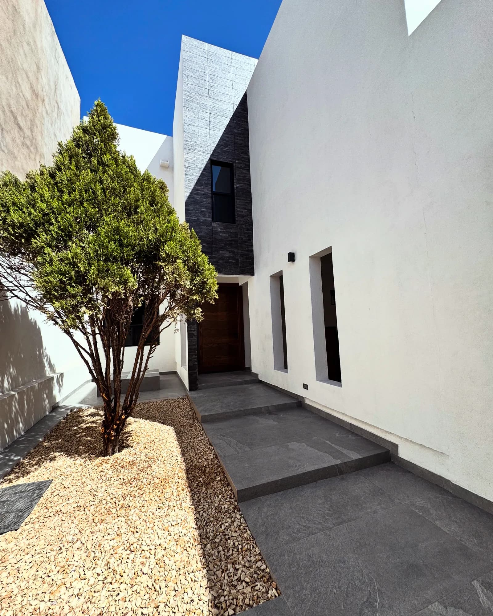 Patio de acceso con grava, un árbol y escalones de porcelanato gris.