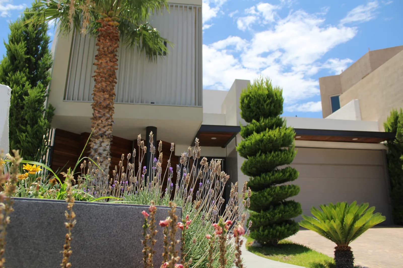 Jardín de acceso con jardinera de piedra oscura, palmera, pino en espiral y la cochera al fondo.