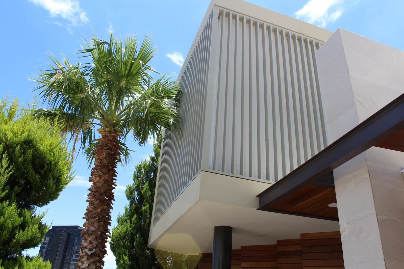 Fachada de Casa Cumbres 01 en contrapicado, con celosía de lamas verticales, alero de madera y una palmera.