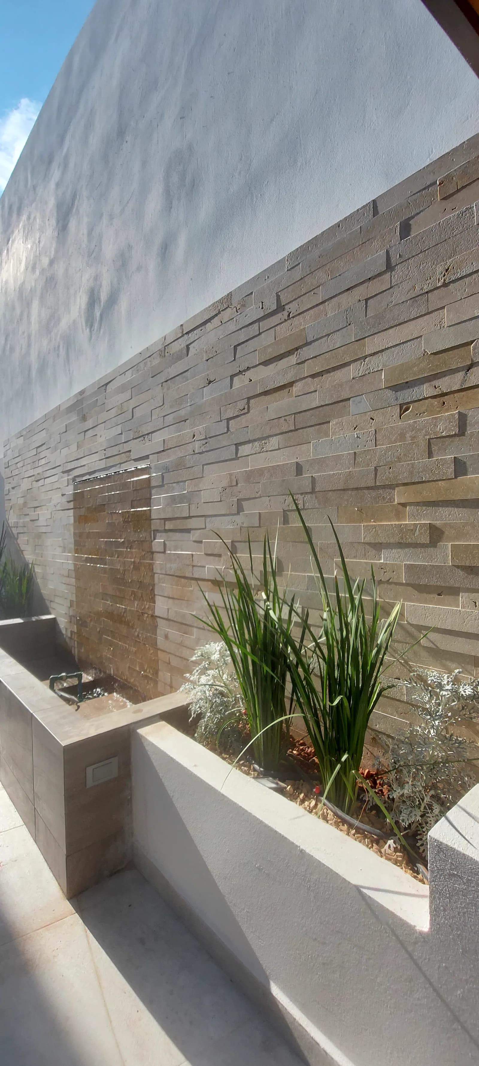 Muro de piedra laja y jardinera de concreto con agaves, en contrapicado.