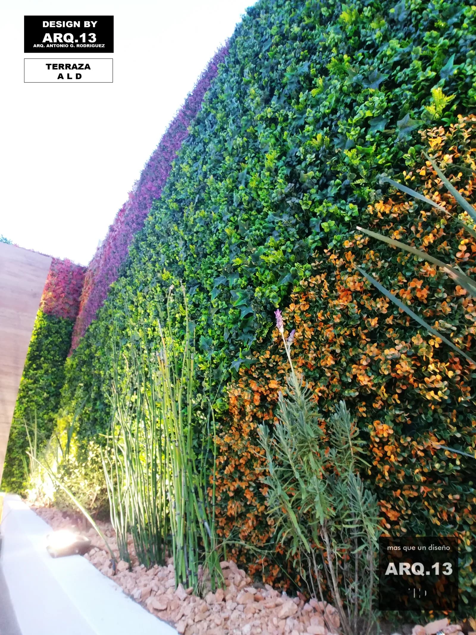Muro verde con franjas de follaje naranja y morado, iluminado desde la jardinera.